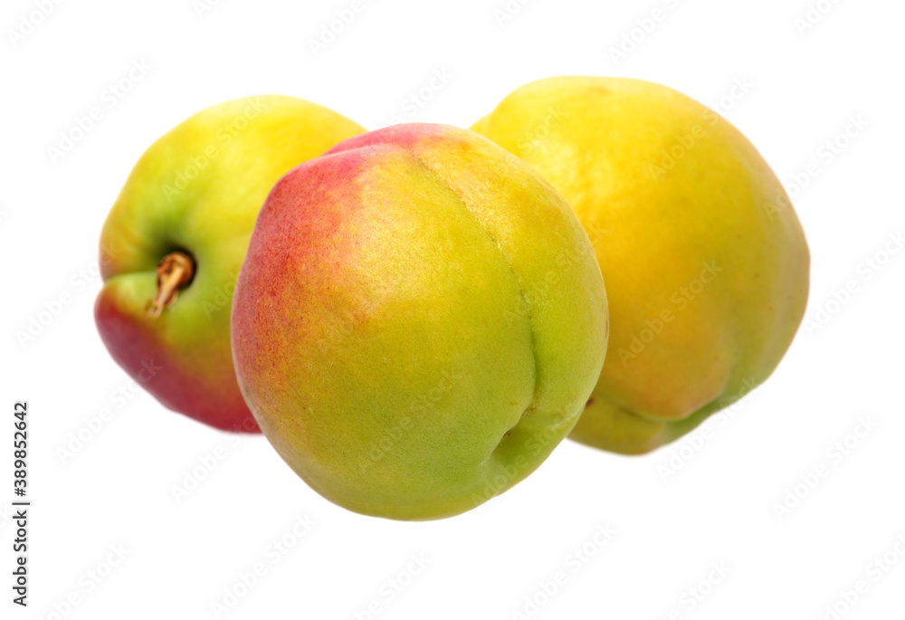 Fresh apricot fruits isolated on white background Fresh apricot fruits isolated on white background