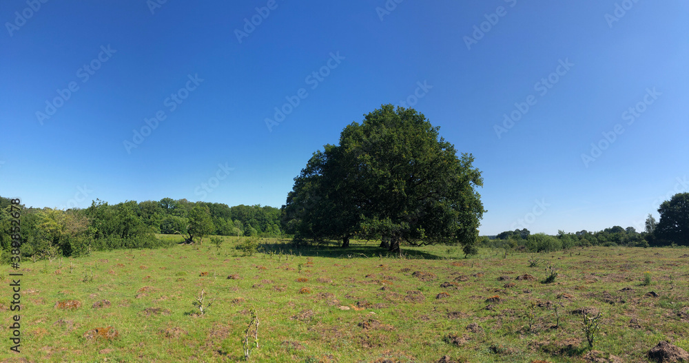 Panorama from nature around Beerze Panorama from nature around Beerze