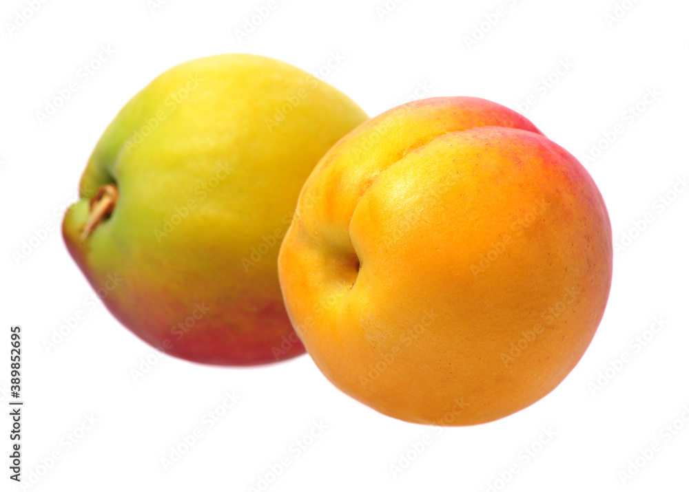 Fresh apricot fruits isolated on white background Fresh apricot fruits isolated on white background