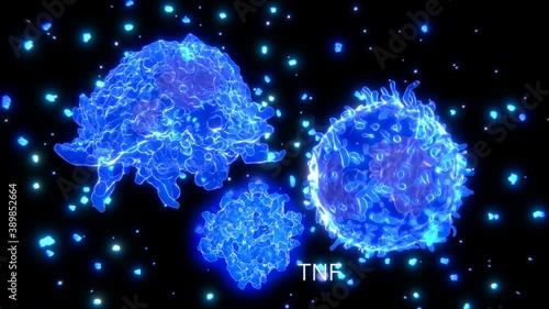 Cytokine storm, macrophage and T effector cell segregate cytokine