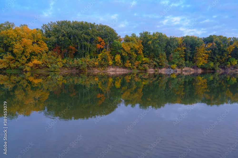 Fototapeta premium colorful autumn forest landscape in the evening - trees near river and blue sky
