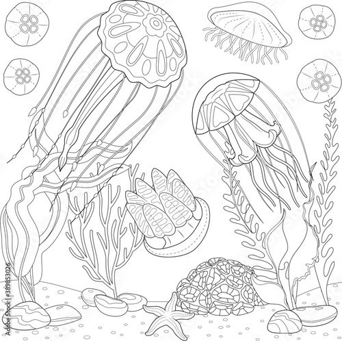 Jellyfish black and white vector illustration 