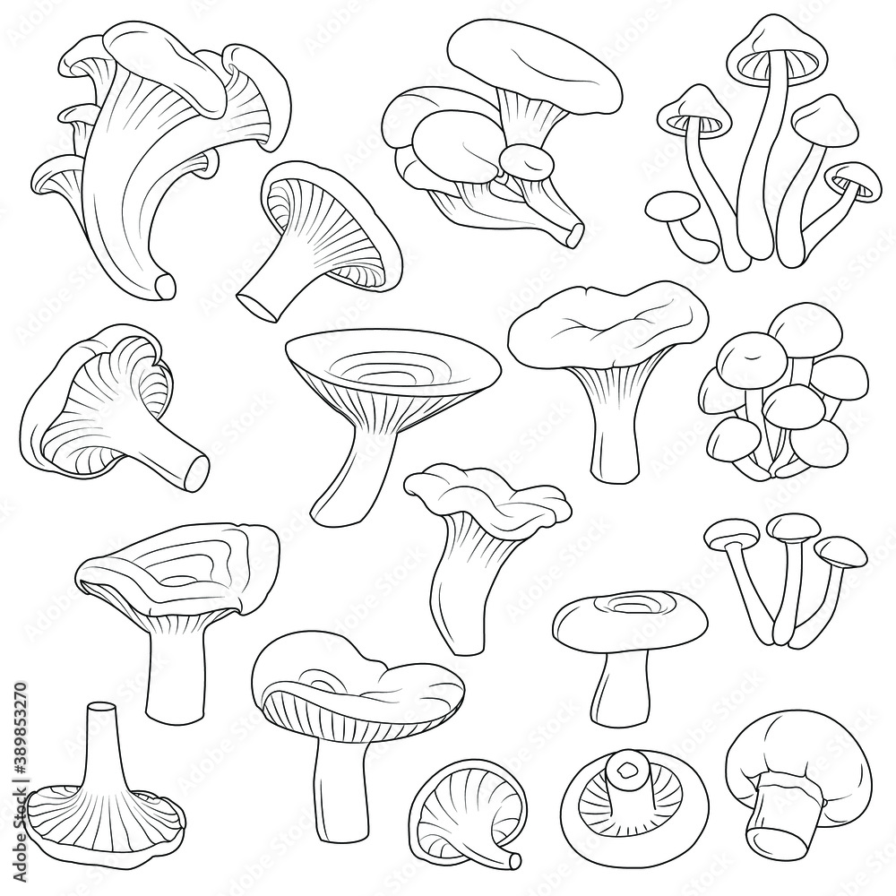 Mushrooms vector black and white set Mushrooms vector black and white set