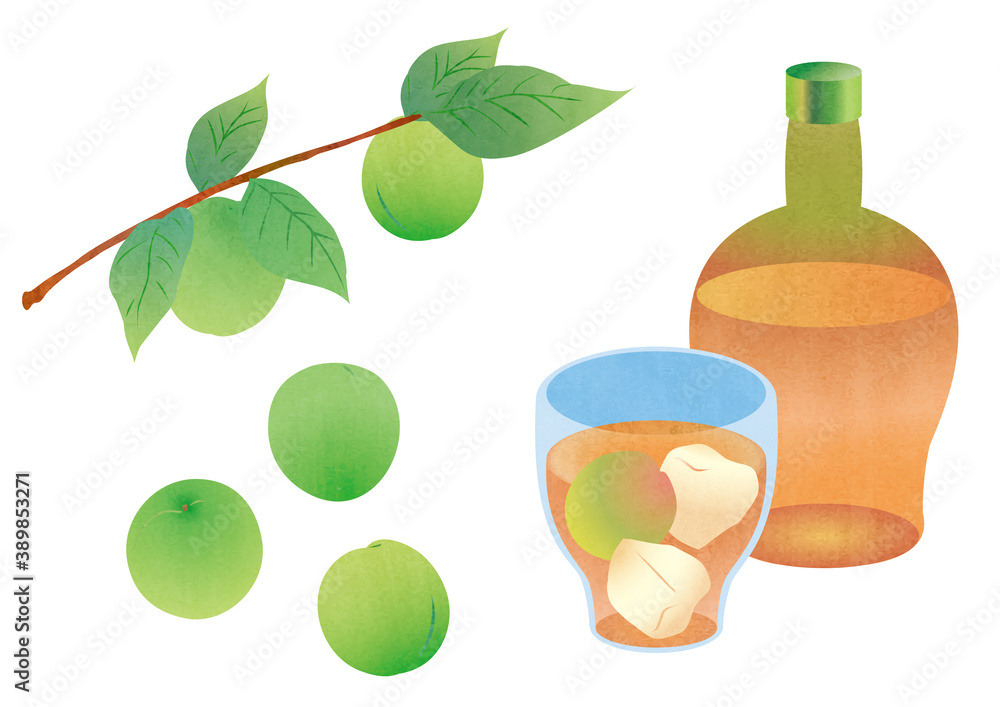 青梅と梅シロップの素材イラスト Stock Vector Adobe Stock