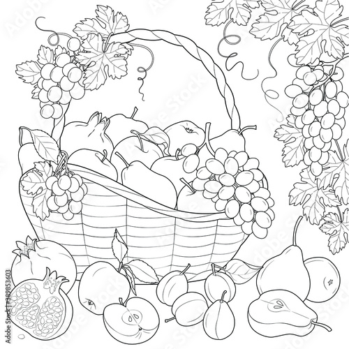 Fotografie Ripe fruit in a basket black and white vector illustration