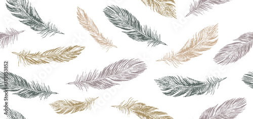 Feathers set on white background. Hand drawn sketch style. © Aleksandr