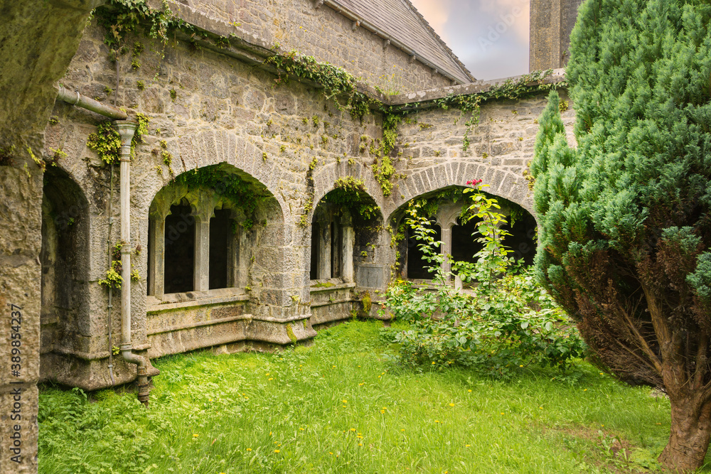 View of the cloister of the Augustinian Abbey near the village of Adare in Ireland. View of the cloister of the Augustinian Abbey near the village of Adare in Ireland.