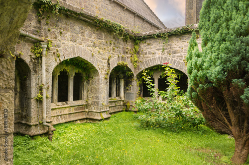 View of the cloister of the Augustinian Abbey near the village of Adare in Ireland.