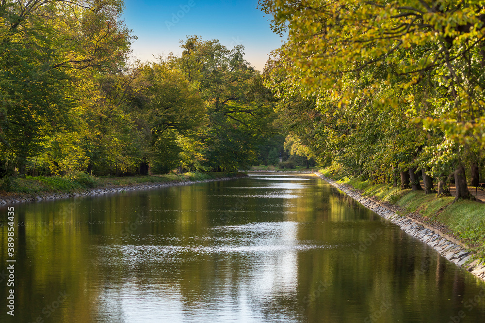 Water channel lined with trees. In the background is a blue sky.