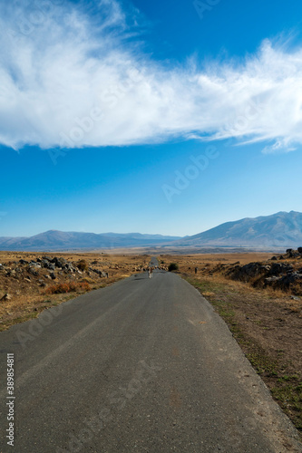 When on the road in Armenia pay attention to pot holes and cattle. Both are very common.