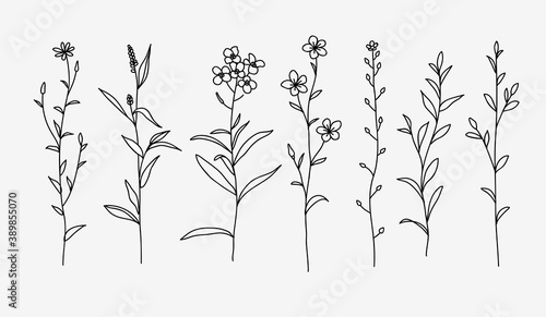 One line drawing. Set of herbs and wild flowers. Hand drawn sketch. Vector illustration.