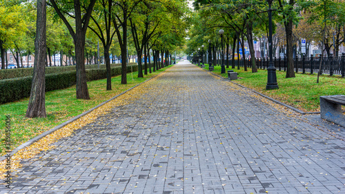 Empty street due to pandemic COVID-19