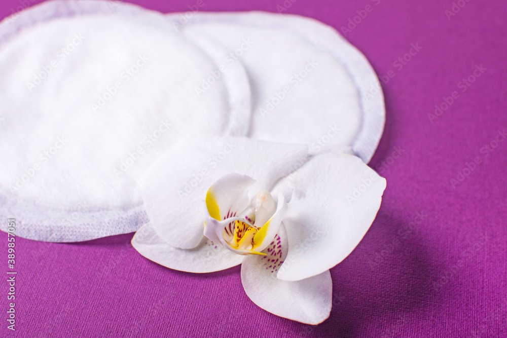 Cotton breast pads on the violet background. Disposable nursing pad. Cotton breast pads on the violet background. Disposable nursing pad.