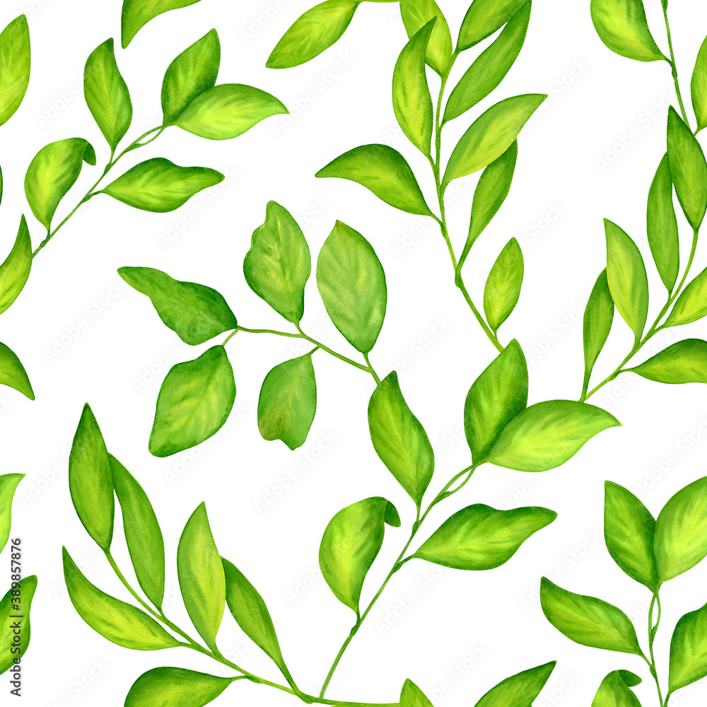 Watercolor green leaves seamless pattern. Hand drawn twigs and tree branches illustration isolated on white background. Beautiful bright greenery herbs for package, textile, cards, decoration