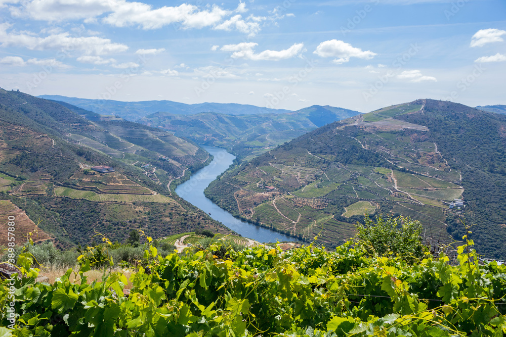 Obraz premium Douro Valley landscape