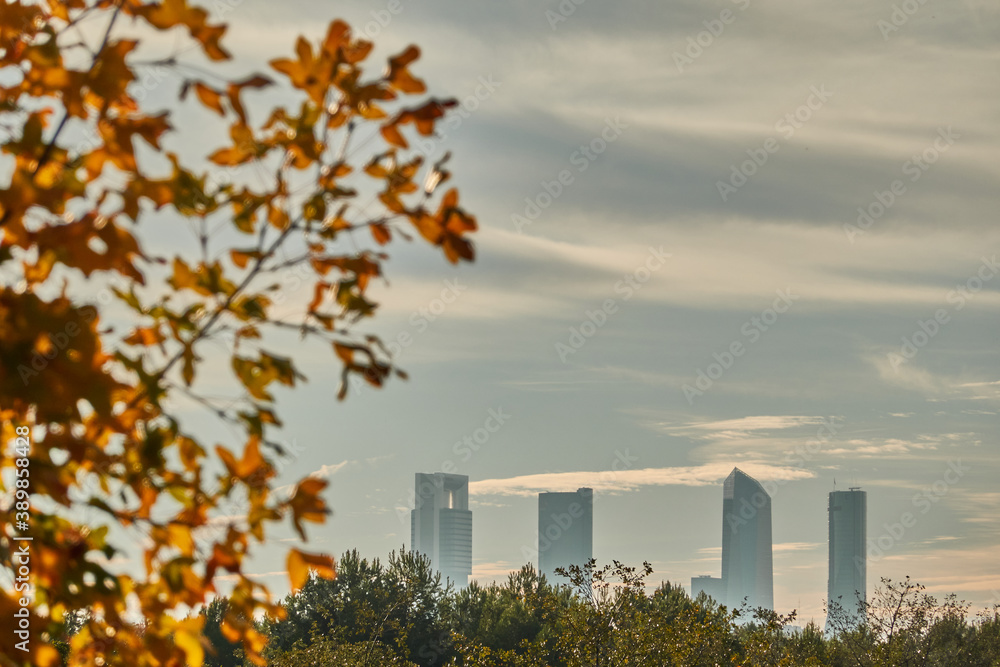 Obraz premium The colors of autumn and the Cuatro Torres de Madrid seen from the Valdebebas forest park. Spain