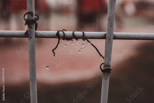 mist drops on cobwebs on a metal fence on a cold autumn day