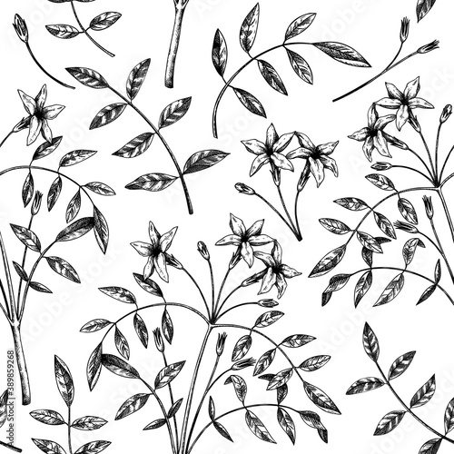 Hand sketched Jasmine seamless pattern. Botanical illustration with leaves and flowers. White Jasmine backdrop. Hand-drawn flowering plant background. 