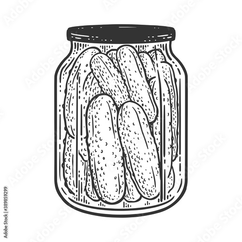 pickled cucumbers sketch engraving vector illustration. T-shirt apparel print design. Scratch board imitation. Black and white hand drawn image.
