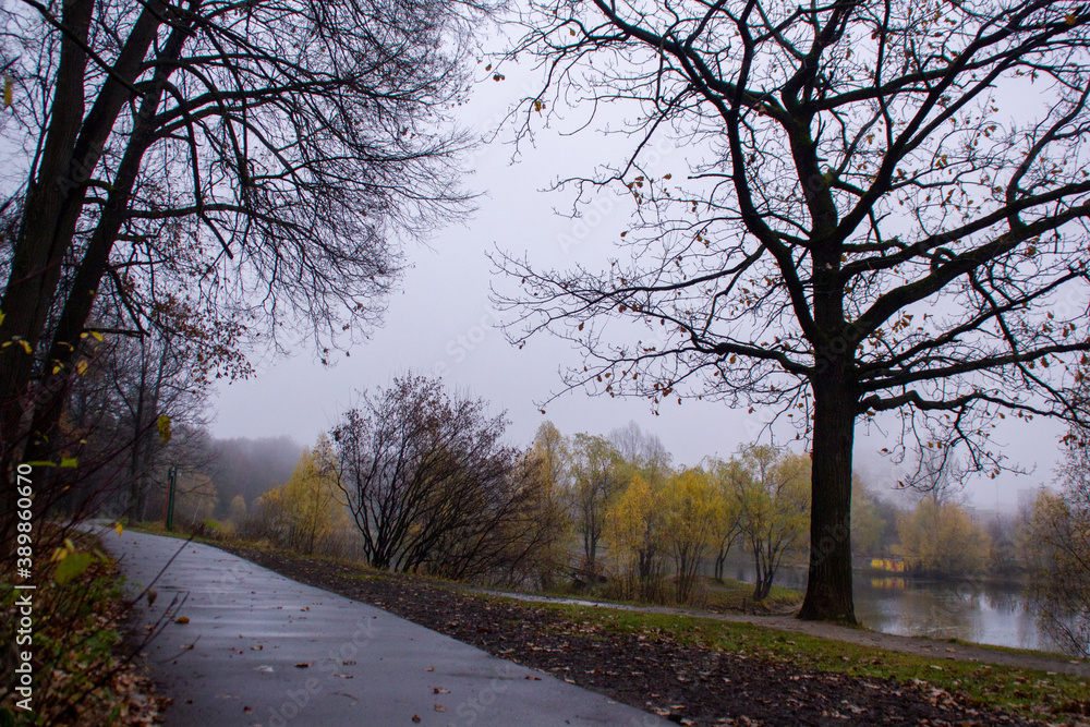 Pathway in the park