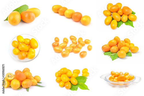 Fototapeta Naklejka Na Ścianę i Meble -  Set of cumquats isolated on a white background