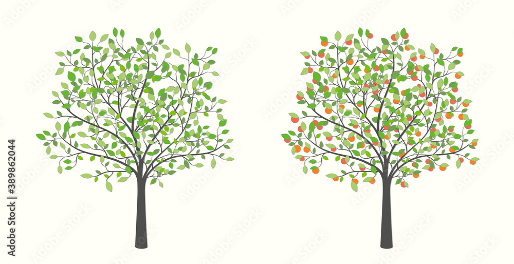 Tree with leaves and fruit in two design options Tree with leaves and fruit in two design options