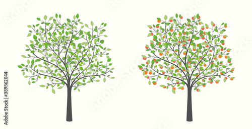 Tree with leaves and fruit in two design options