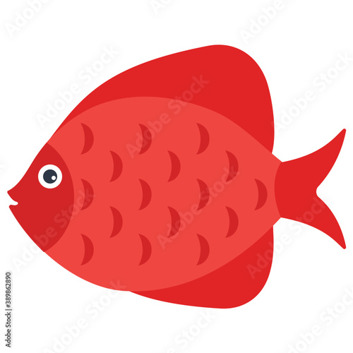 
A freshwater fish with broad fins from the family of cichlidae symbolizing dwarf angelfish 
