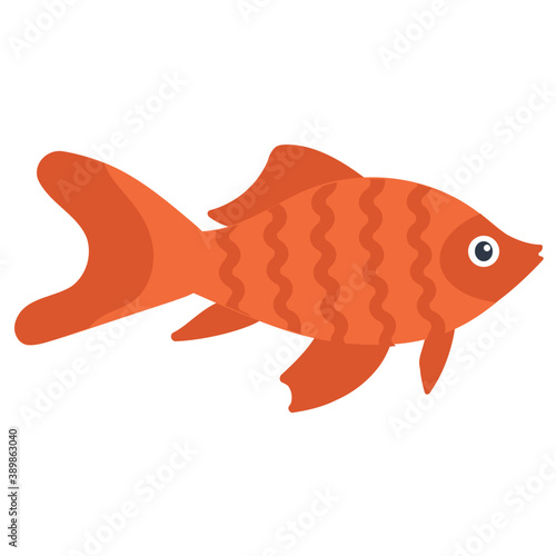 
A freshwater fish with broad fins from the family of cichlidae symbolizing dwarf angelfish 
