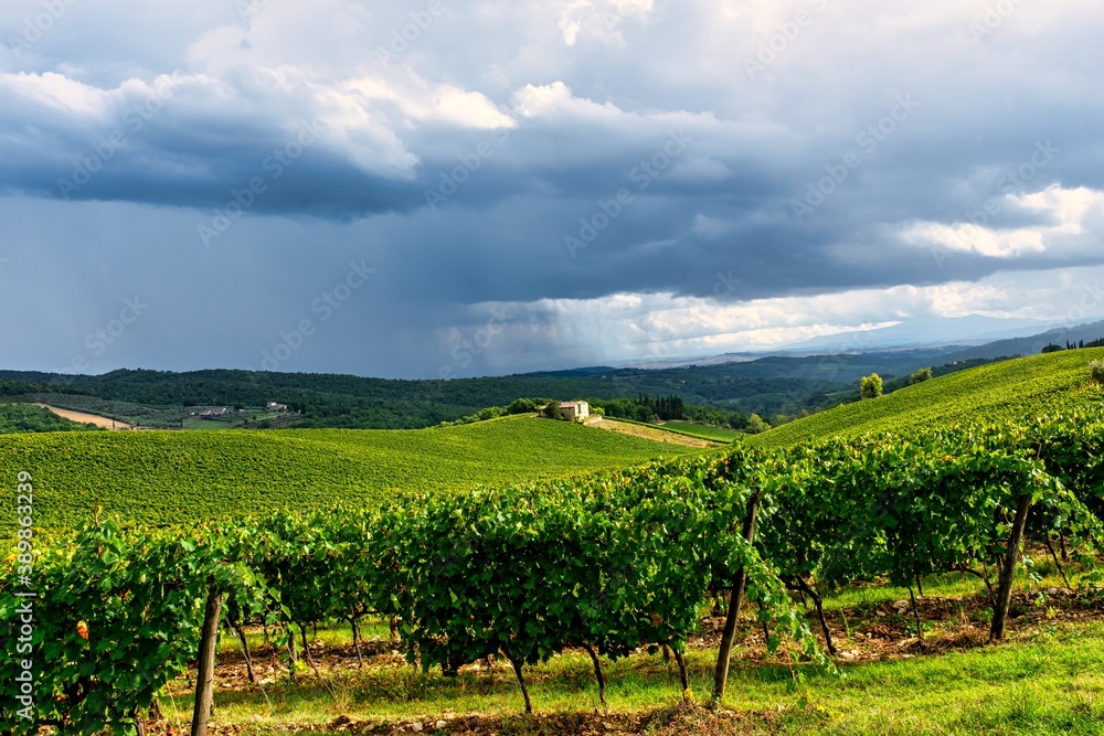 Tuscany Vineyard Field with Cloudy Sky