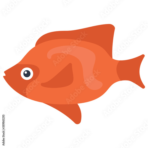 
A freshwater fish with broad fins from the family of cichlidae symbolizing dwarf angelfish 
