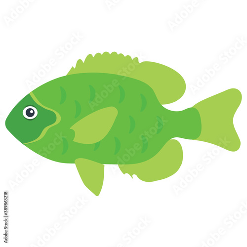  Green colored Chromis Viridis is a species of damselfish 