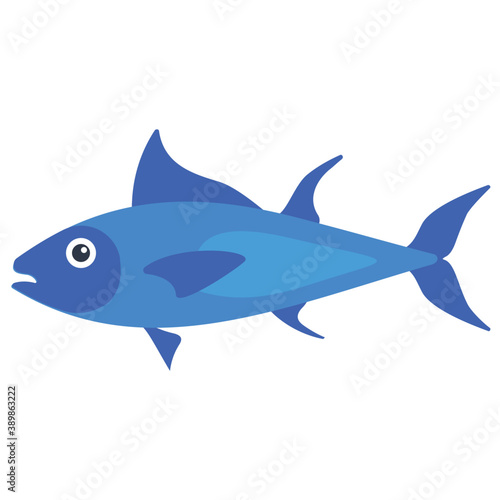  A specie of lake malawi cichlids in sharp blue color lives in rocky substrates  electric blue hap or blue ahli fish  