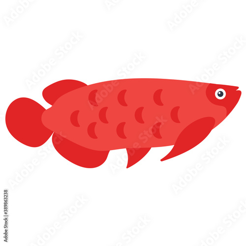 
A freshwater fish with broad fins from the family of cichlidae symbolizing dwarf angelfish 
