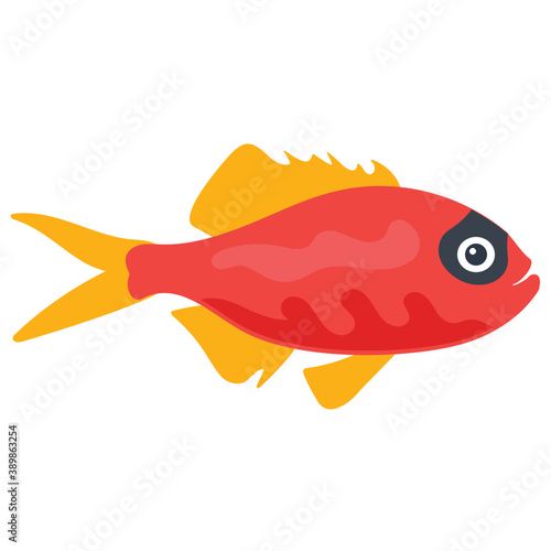 
A freshwater fish with broad fins from the family of cichlidae symbolizing dwarf angelfish 
