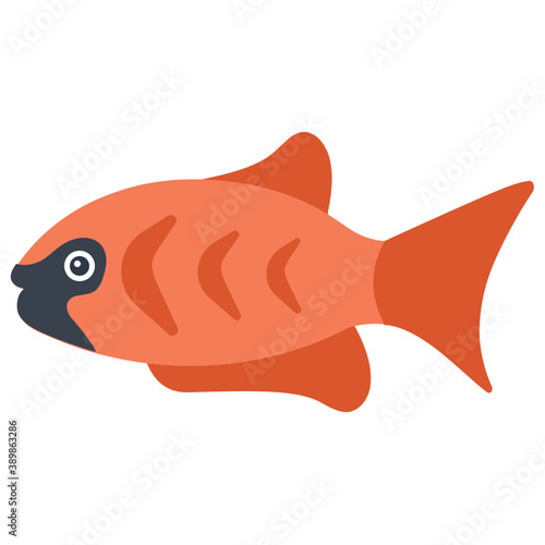 
A freshwater fish with broad fins from the family of cichlidae symbolizing dwarf angelfish 

