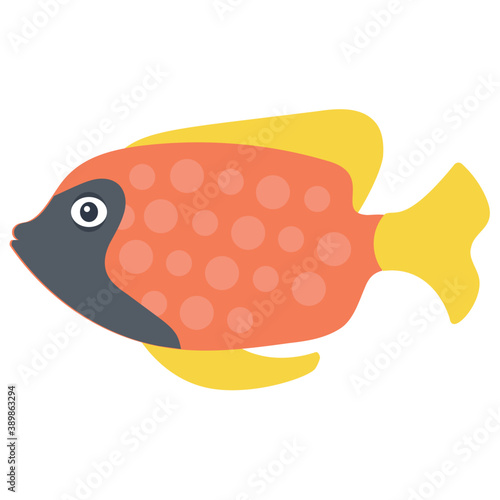 
A freshwater fish with broad fins from the family of cichlidae symbolizing dwarf angelfish 
