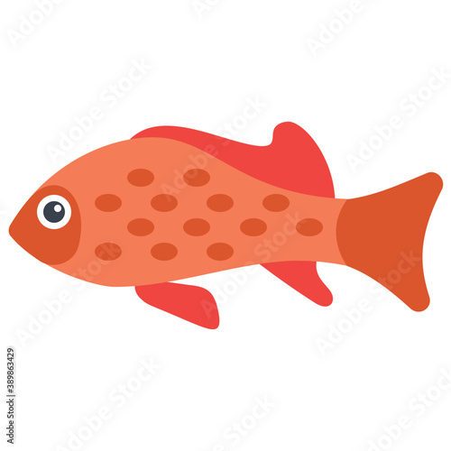 
A freshwater fish with broad fins from the family of cichlidae symbolizing dwarf angelfish 
