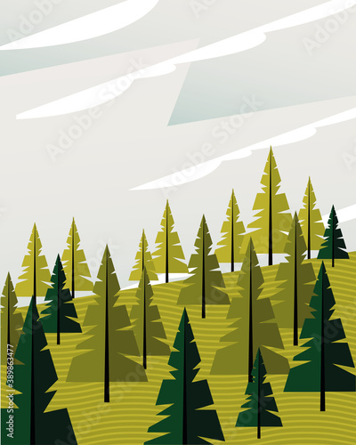 beautiful landcape scene with coniferus forest