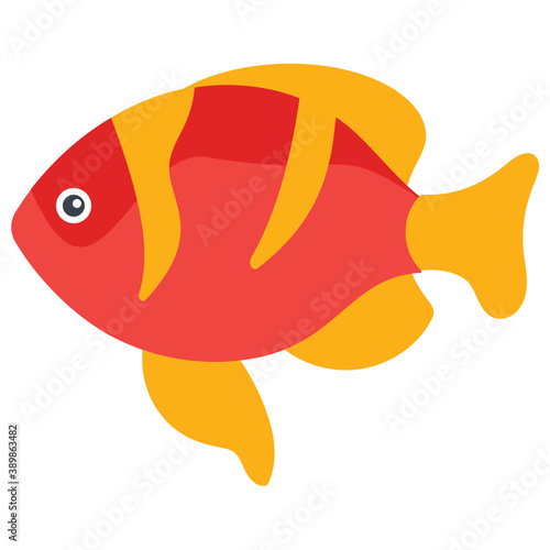 
A freshwater fish with broad fins from the family of cichlidae symbolizing dwarf angelfish 
