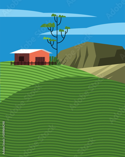 beautiful landcape scene with stable in field