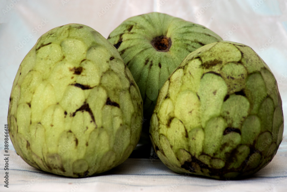 beautiful subtropical custard apples ready to eat beautiful subtropical custard apples ready to eat