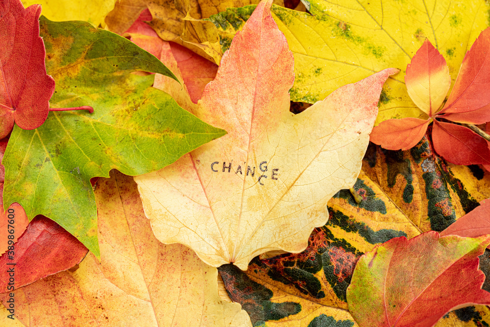 Fototapeta premium Change Chance Stempel auf bunten Blättern im Herbst 