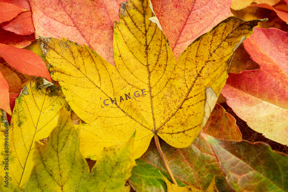 Change Chance Stempel auf bunten Blättern im Herbst Change Chance Stempel auf bunten Blättern im Herbst