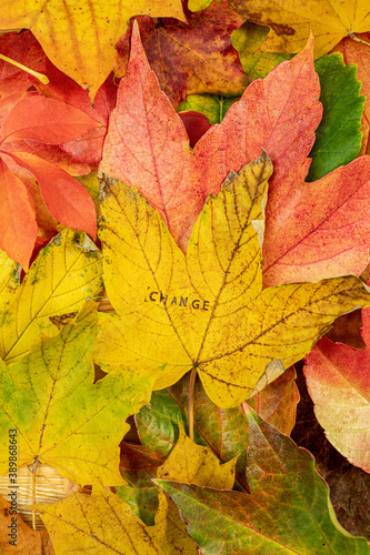 Change Chance Stempel auf bunten Blättern im Herbst 
