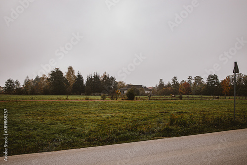 calm autumn landscape with road and trees on a gray cloudy day in Warsaw's Białołęka district in Poland photo