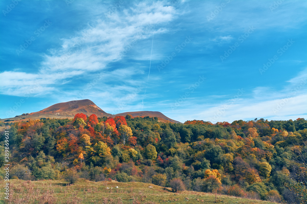 Fototapeta premium colorful mountain fall autumn scenic landscape