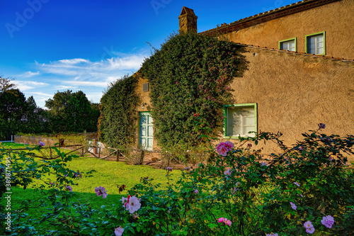Tuscan country house surrounded by a rose garden Castagneto Carducci Bolgheri Tuscany Italy