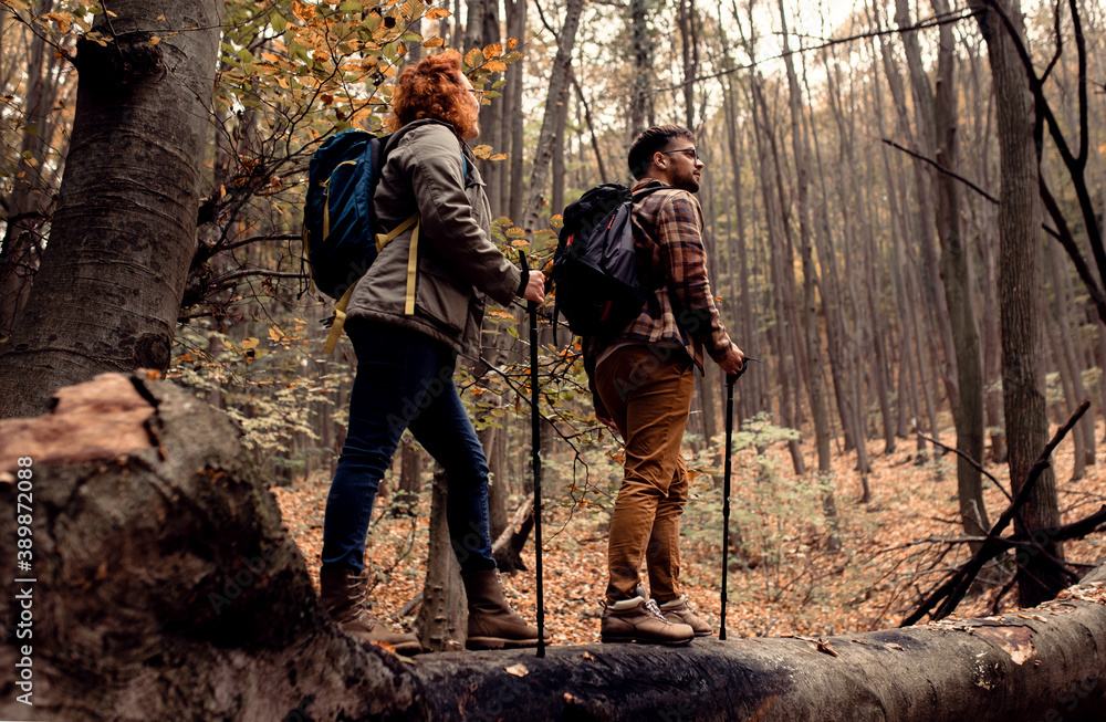 Two young hikers with backpack walking in forest on collapsed trunk. Two young hikers with backpack walking in forest on collapsed trunk.