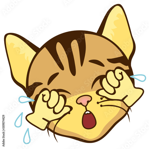 emoticon with a crying cat, from the eyes of which tears sprinkle, vector color clip art  on white isolated background